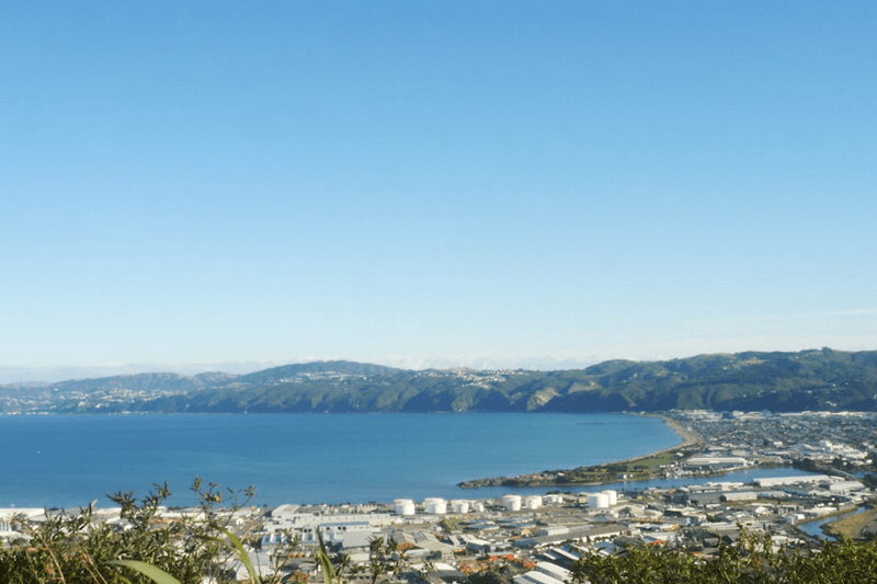 Customer Information & Escalations Coordinator image