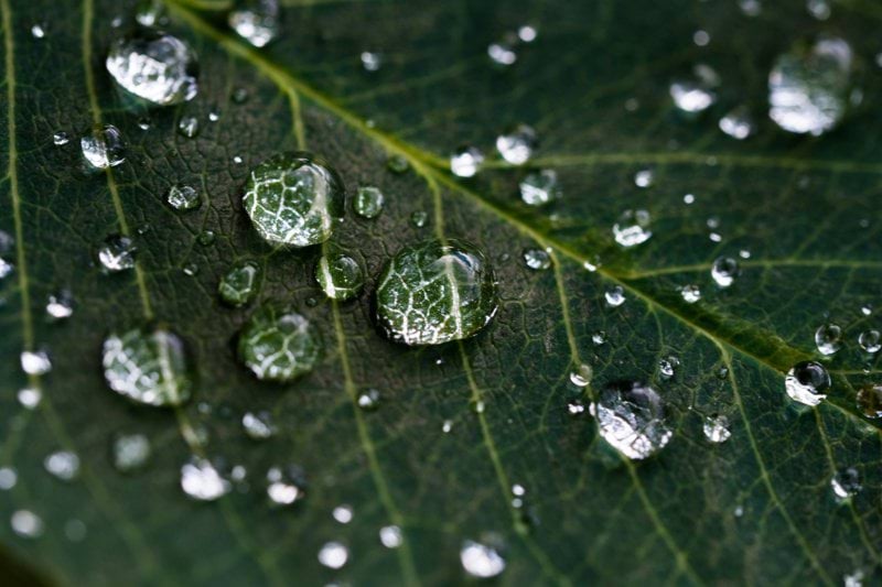 Responsable de Organización en Tecnologías del Agua image