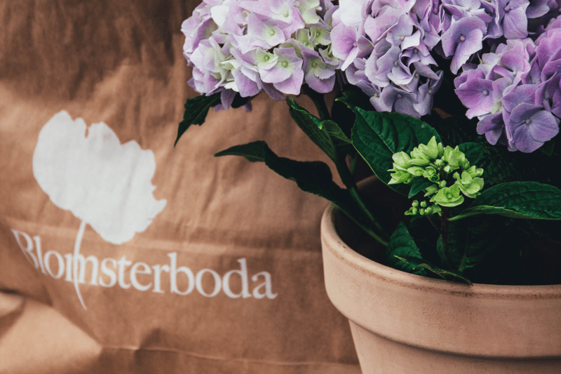 Teamchef till Blomsterboda i Norrköping! image