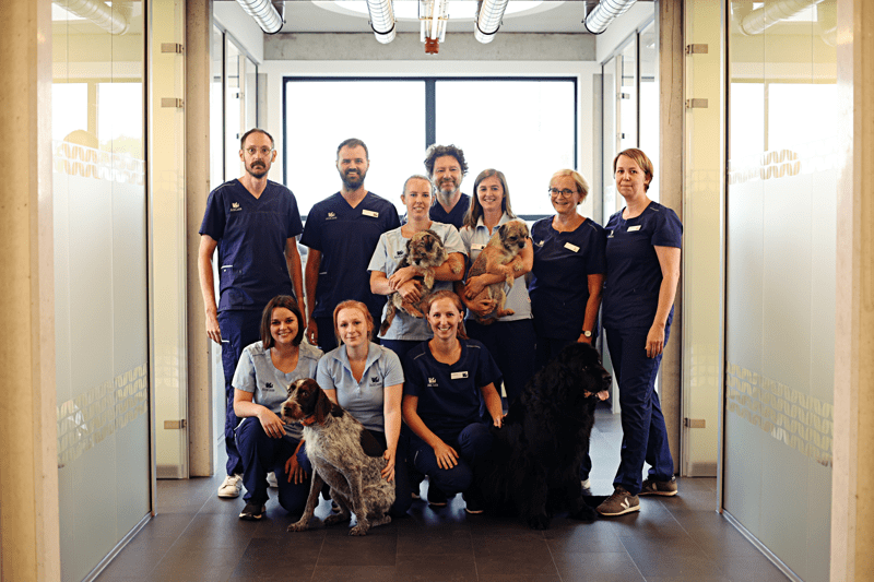 Area Operations Partner AniCura België image