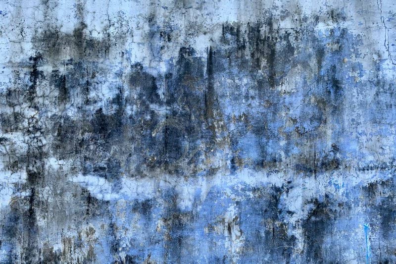 a window covered in snow