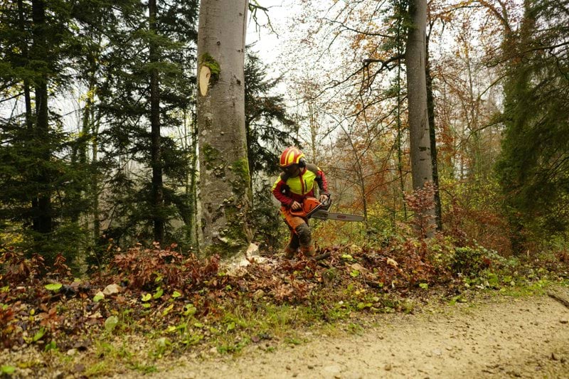 Verksamhetsutvecklare - Säker Skog image