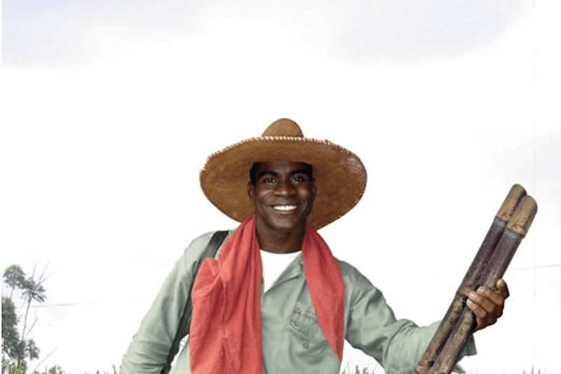 Cortero de caña con o sin experiencia image