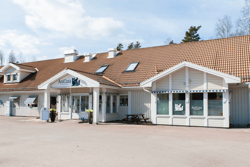 Semestervikarier till AniCura Dalarna image