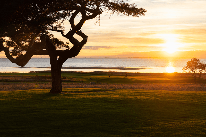 Operativ Försäljningschef till Barsebäck Resort image