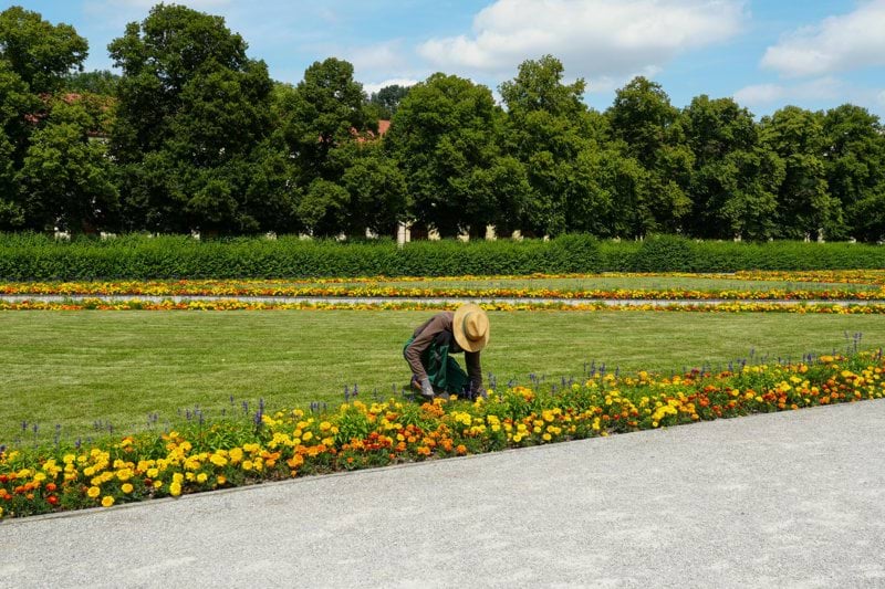 Säsongsjobba inom Trädgård ute på Värmdö! image