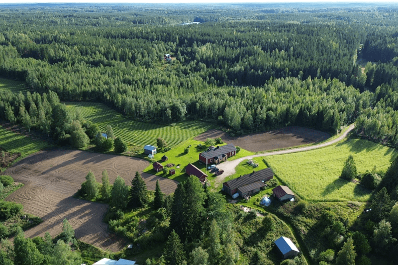 Mansikkamesta: Kausityöntekijät image