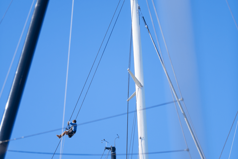 Temp Mate | Swan 88 image