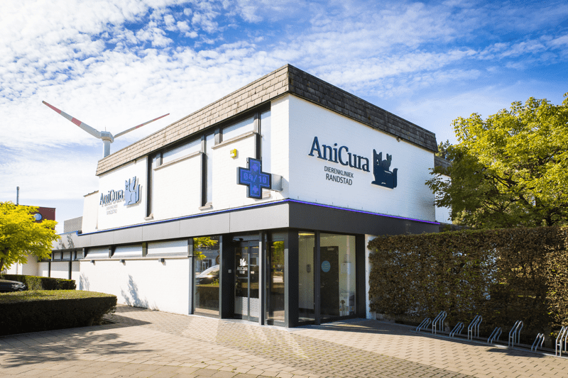 Clinic Manager - AniCura Randstad image