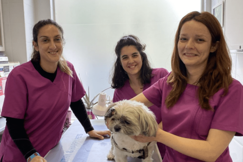 Veterinario Generalista : Centro Veterinario Ciudad Naranco image