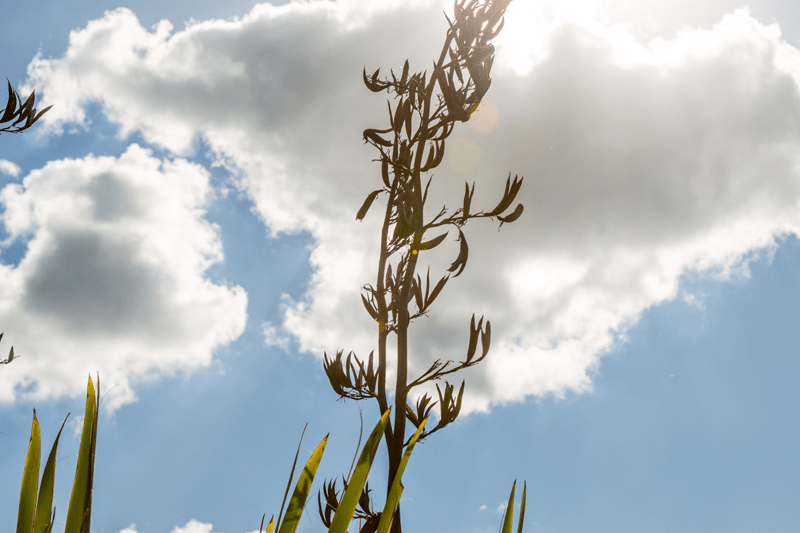 Multimedia Content Producer - Permanent Full Time image