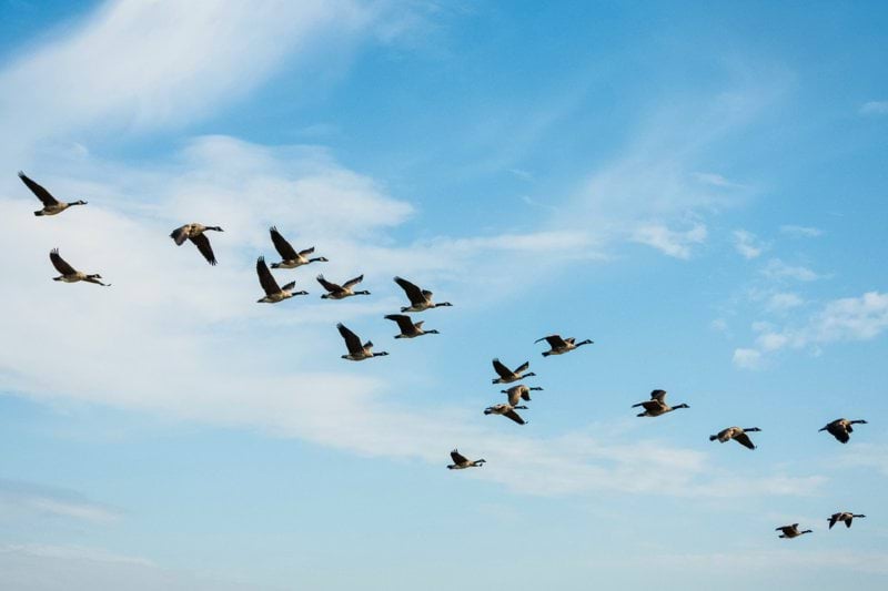 Gruppchef till Klara Consulting Mjölby!