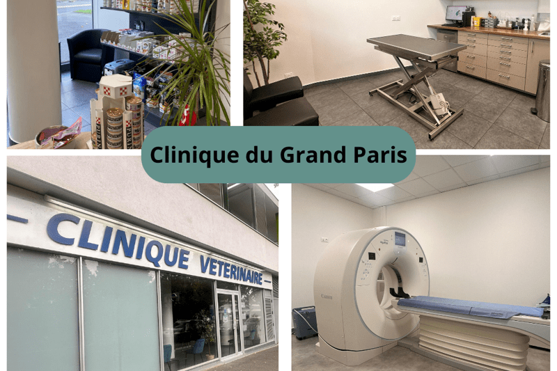 CLINIQUE DU GRAND PARIS - VETERINAIRE GENERALISTE H/F - CDI image