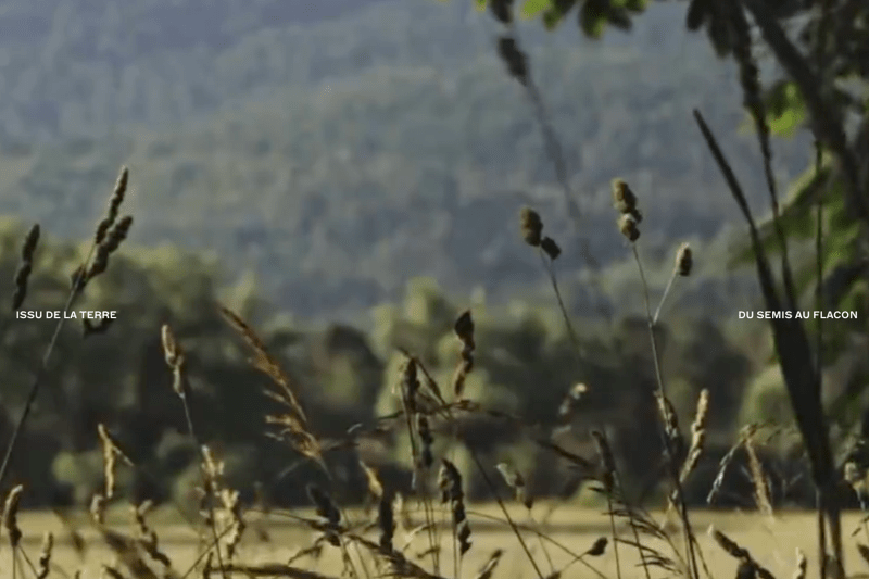 Art Director -  Sujet Parfums [CDI] image