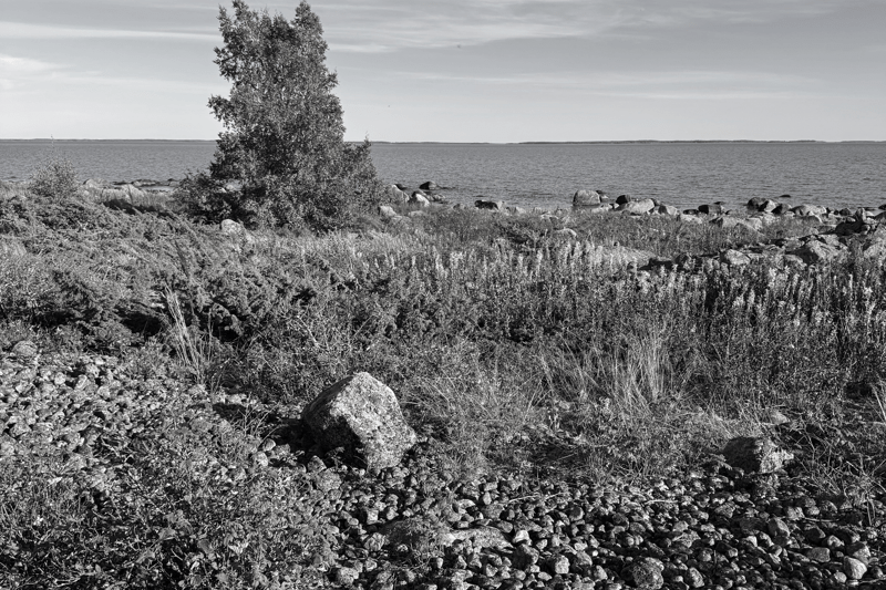 Robottihitsaaja Porvooseen (14-18€/h) image