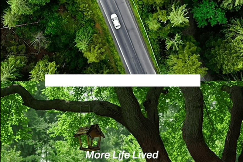 Sustainability Analyst image