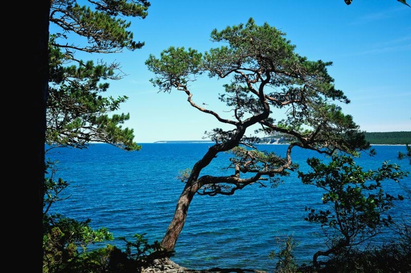 Technical Sales Engineer på ComfortZone image