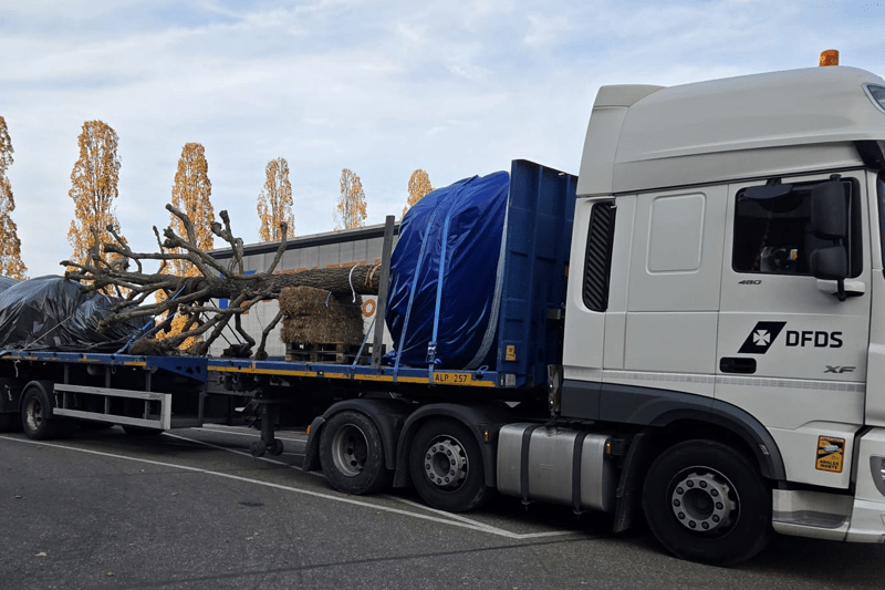 Internationaal Chauffeur Special Cargo image