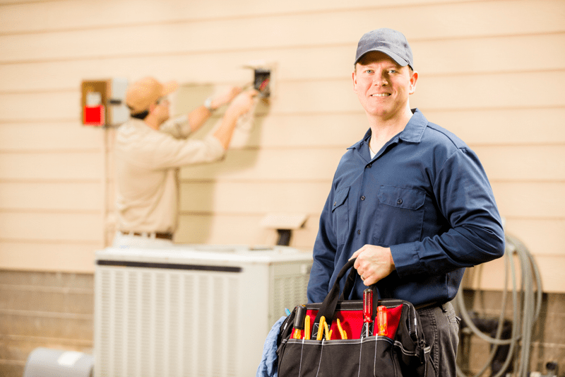 CARPINTERO image
