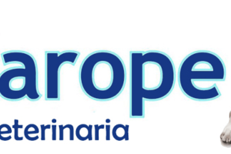 Veterinario/a Generalista Clínica Veterinaria Xarope Laracha (A Coruña) image