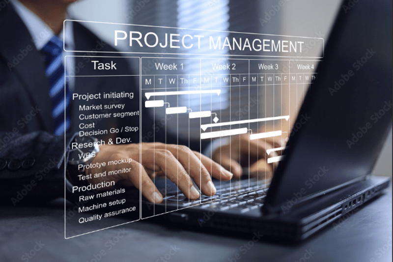 IT Senior Project Manager image