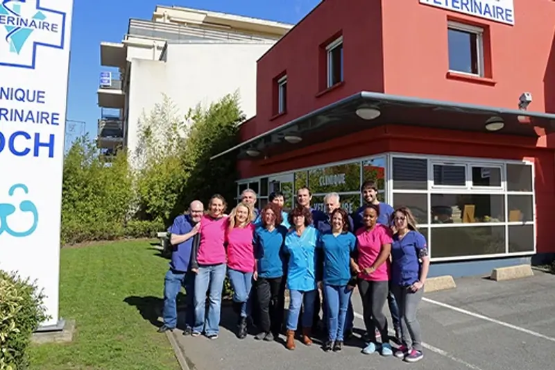 CLINIQUE VETERINAIRE FOCH (77) - ALTERNANCE ASV GIPSA H/F image