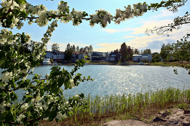Neuvolalääkäri - Espoo image