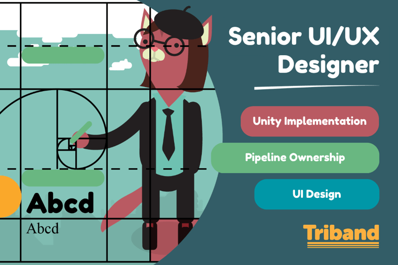 Senior UI/UX Designer image