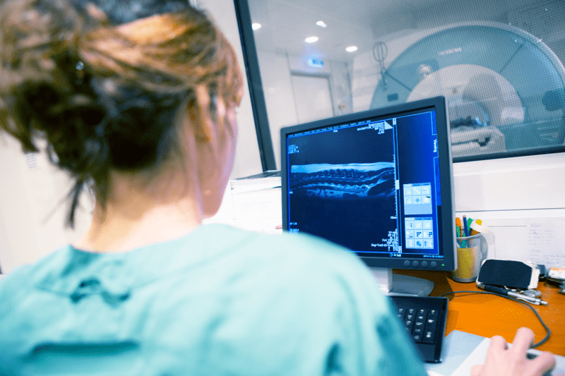 Veterinärer till AniCura Djursjukhuset Albano image