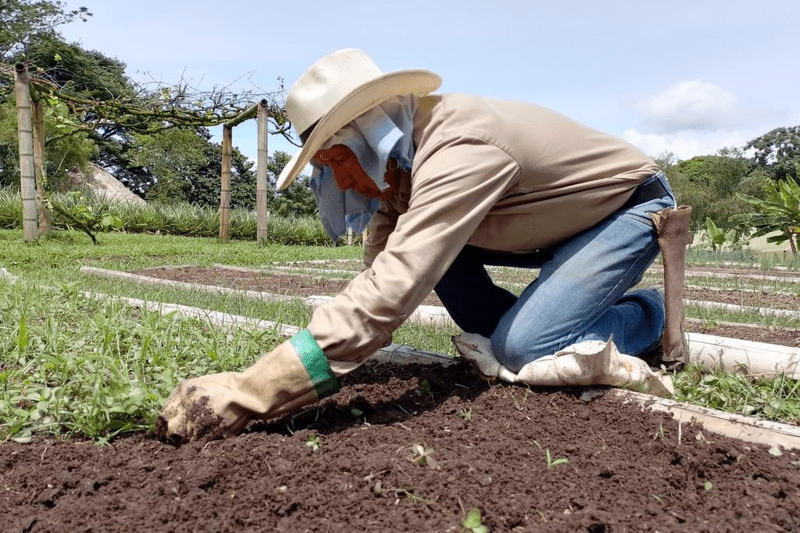 Oficios varios sin experiencia - Granja Manuela image