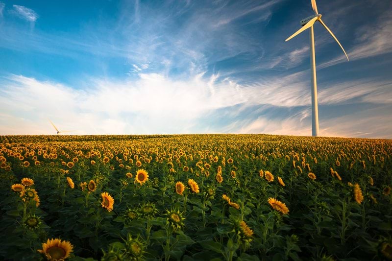 Uppdragsledare miljöprövning industri och energi till WSP Miljömanagement image
