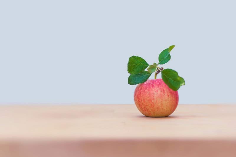 Diététiste-nutritionniste image