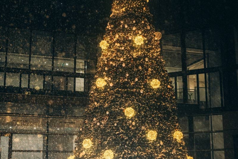 Conseiller(e) Technique (H/F) image