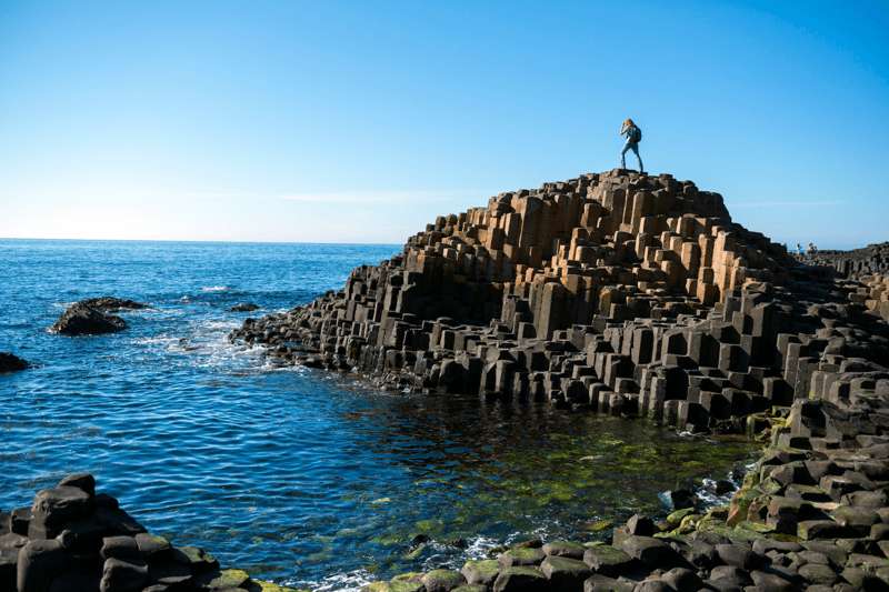 Volunteer role: Social Media Lead for North Coast Humanists image