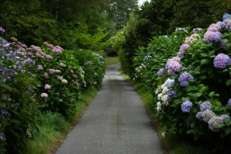 Kassamedarbetare / butikssäljare - Blomsterlandet, Västerås image