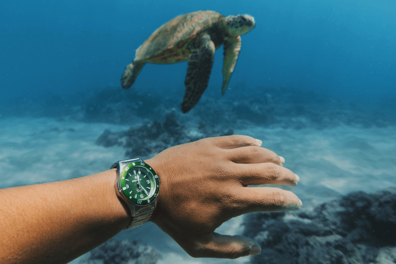 Head of Marketing - 12 month FTC image