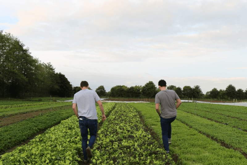 GENERAL MANAGER - SPROUT & CO image