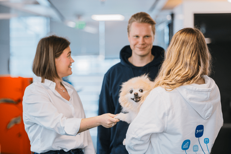 Go-to-market päällikkö image