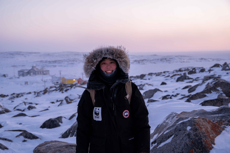 Intern with the Global Arctic Programme image