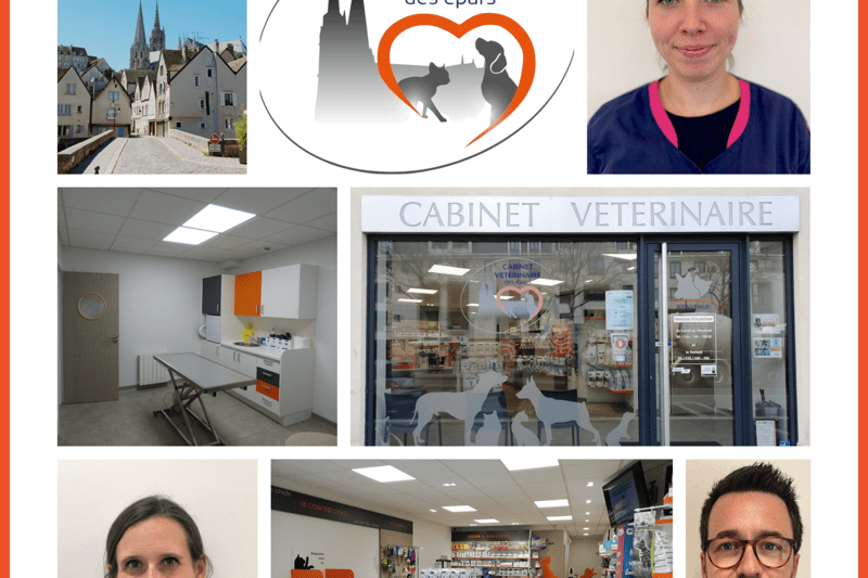 CHARTRES - EPARS - VETERINAIRE - CDI (H/F) image