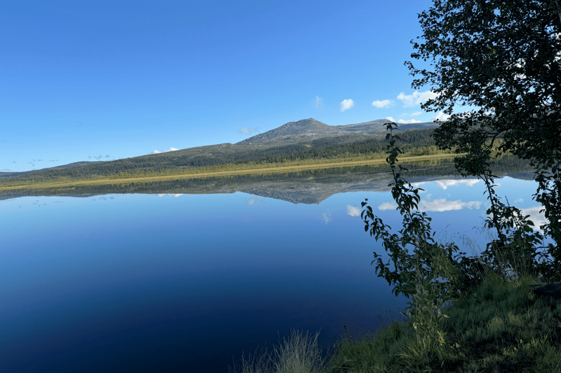 Kommunedirektør - Raarvihken tjïelte / Røyrvik kommune image