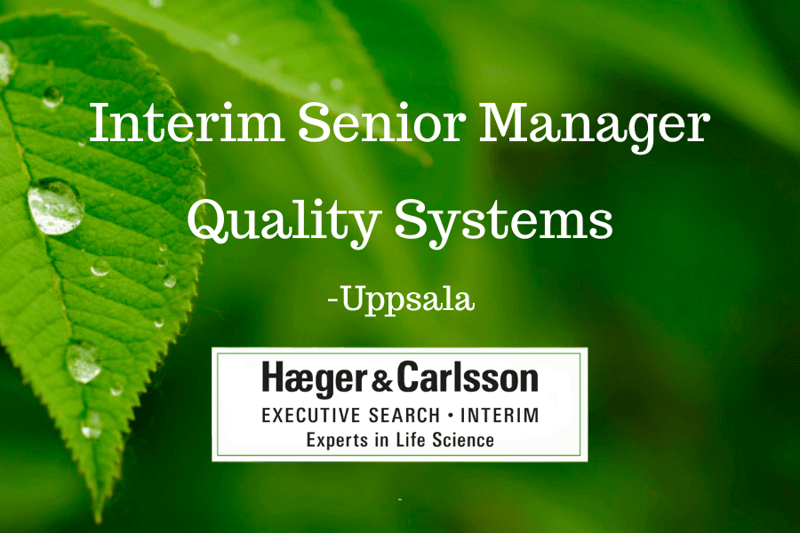 Interim Senior Manager Quality Systems image