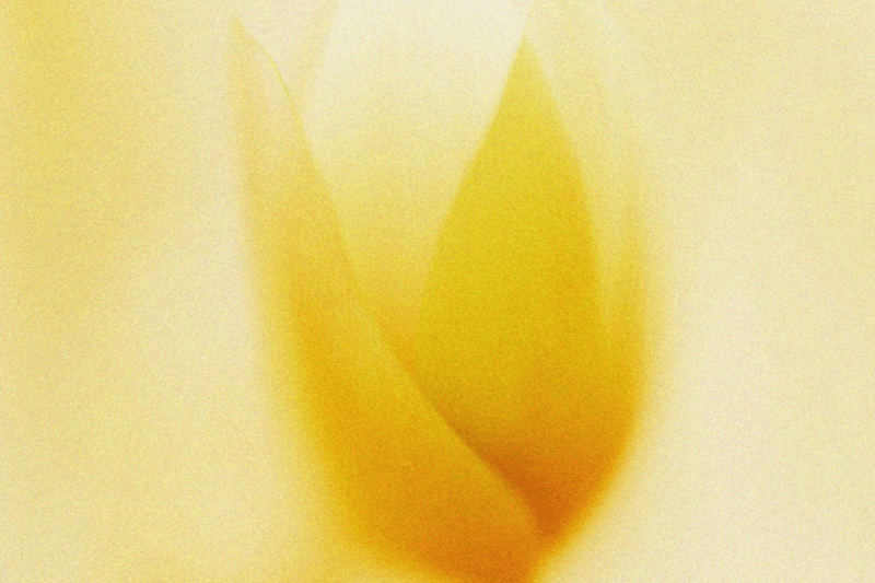 Product Marketing Manager image