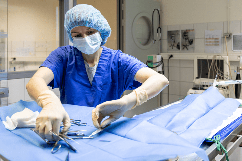 Vétérinaire spécialiste en Oncologie F/H image