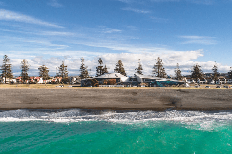 Cleaner - National Aquarium of New Zealand (Casual) image