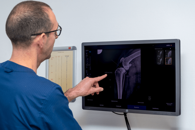 Vacature Dierenarts AniCura Randstad image