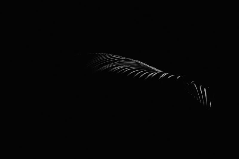 Underwriting Team Lead image