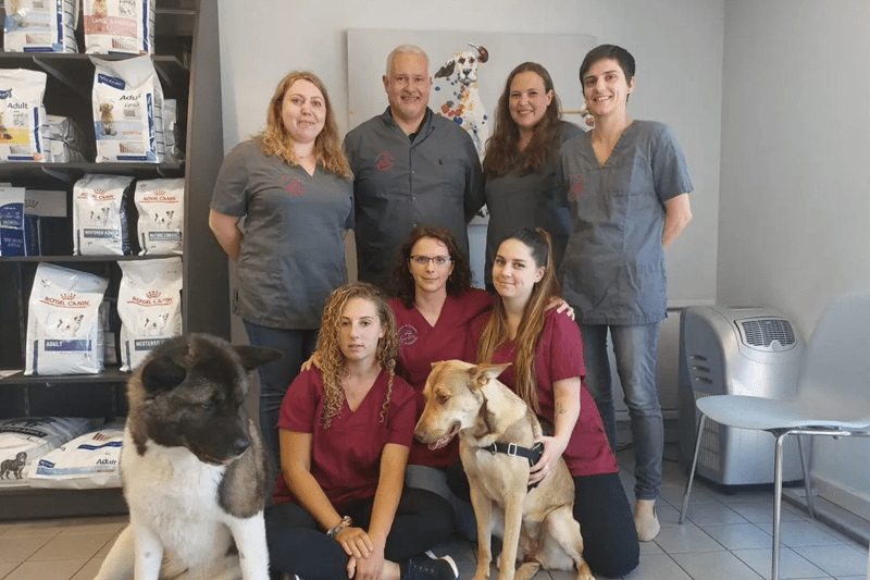 THORIGNY-SUR-MARNE - CLINIQUE DES CERISIERS - VETERINAIRE CDD - H/F image