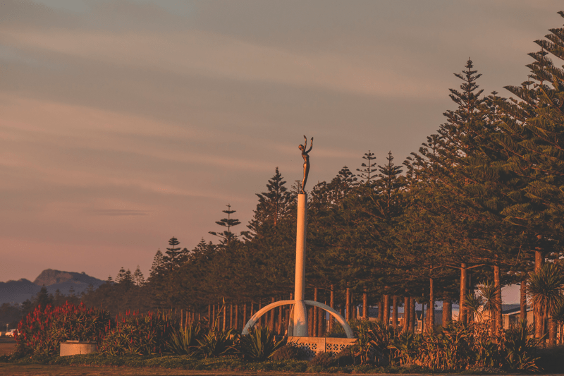 Urban Development Manager image