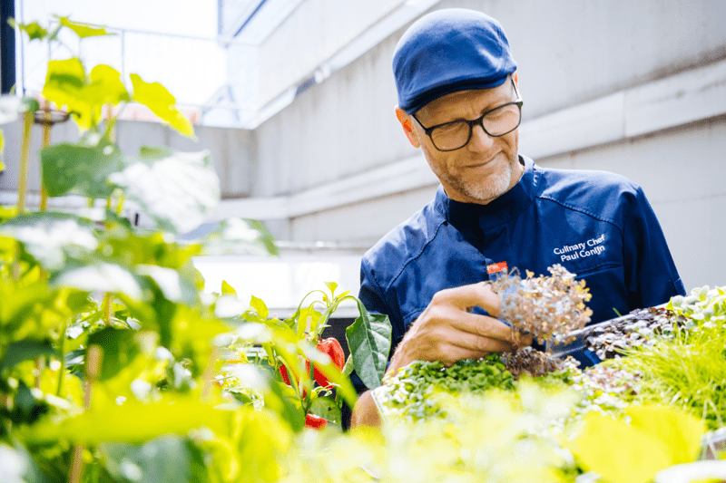 Chef de Partie - koude keuken image